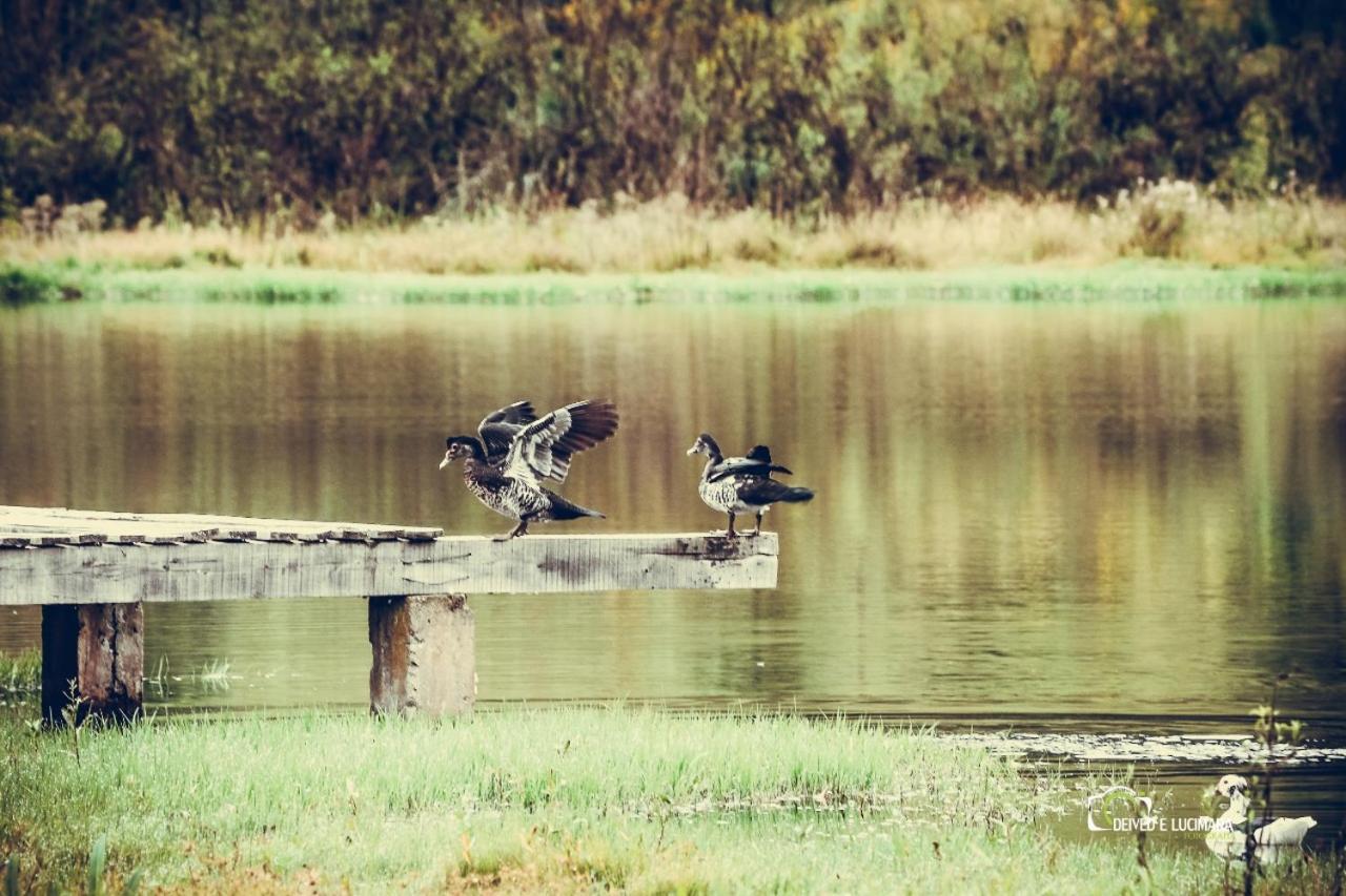 Refugio Do Lago Lages Ngoại thất bức ảnh