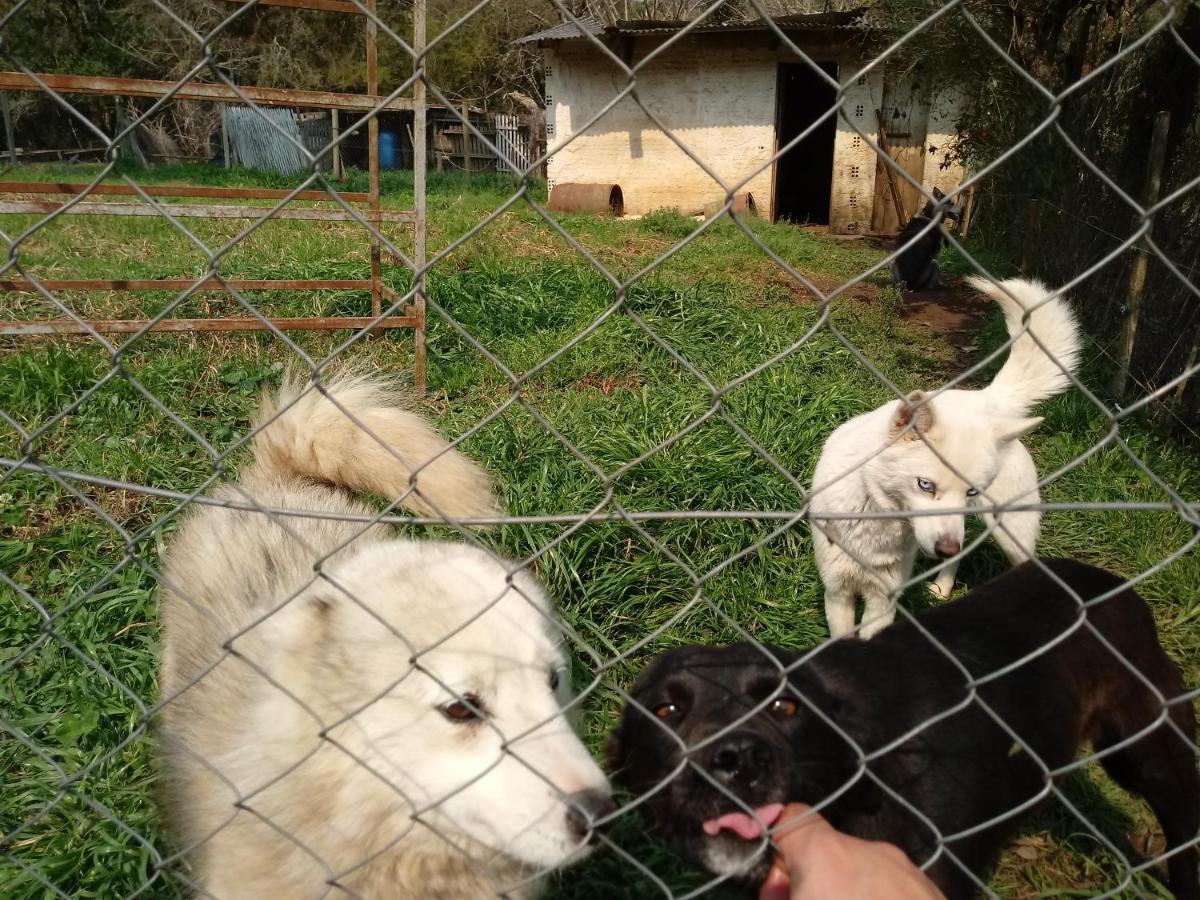 Refugio Do Lago Lages Ngoại thất bức ảnh